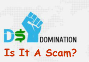 DSScam-300x211